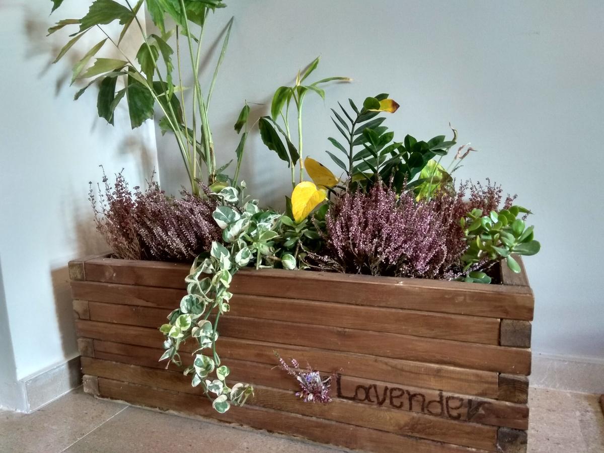 カラマタLavenderアパートメント エクステリア 写真